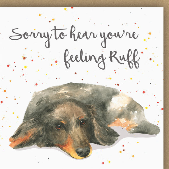 Dachshund get well soon quality blank card by Ceinwen Campbell