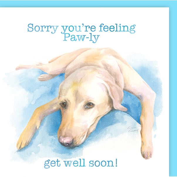 Labrador get well soon blank greetings card by Ceinwen Campbell