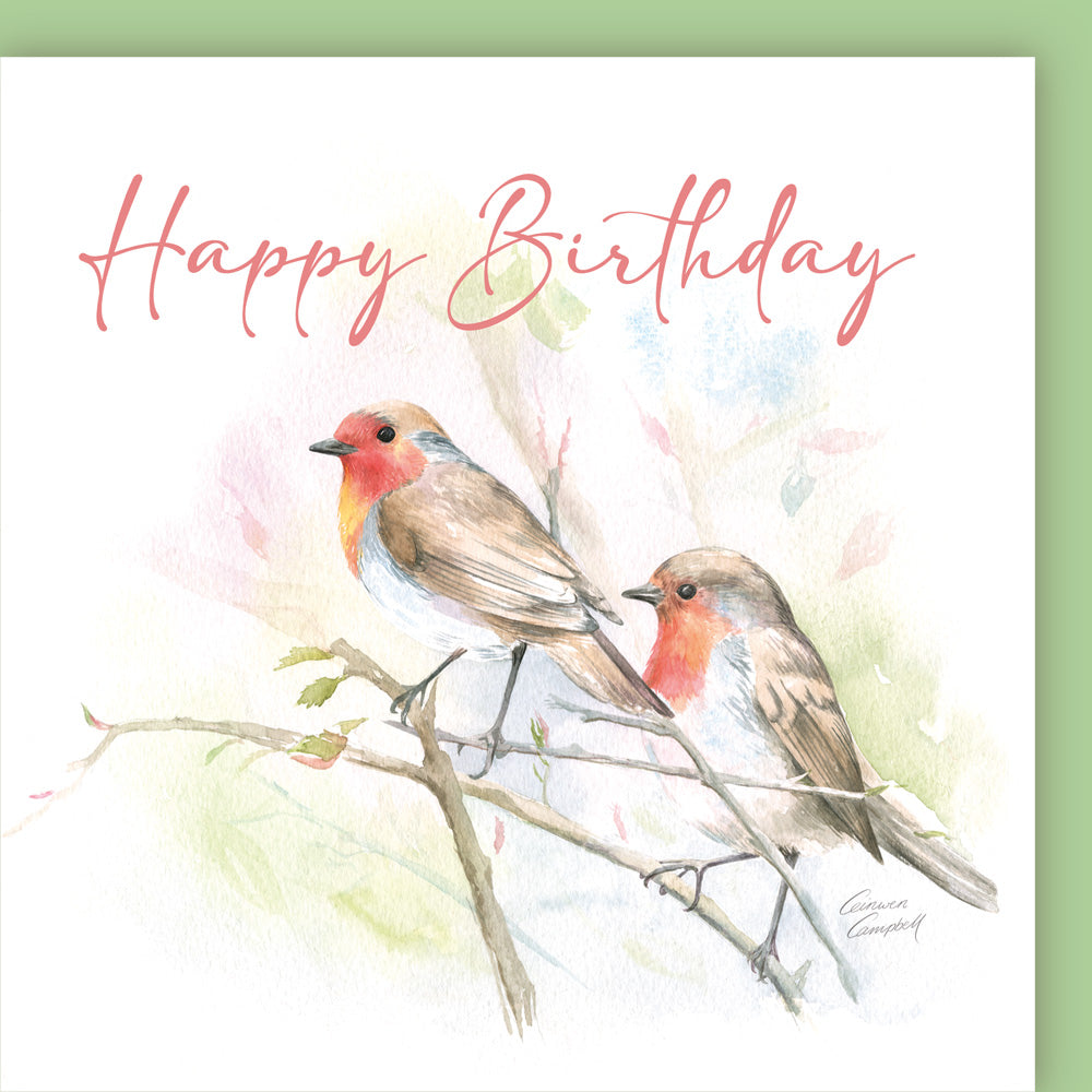 Robin Birthday Card