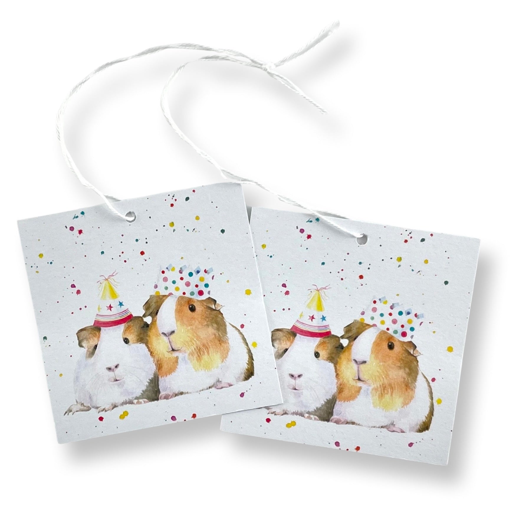 Guinea Pig recycled and recyclable gift wrap and tags great for birthdays, Christmas and crafting by Ceinwen Campbell