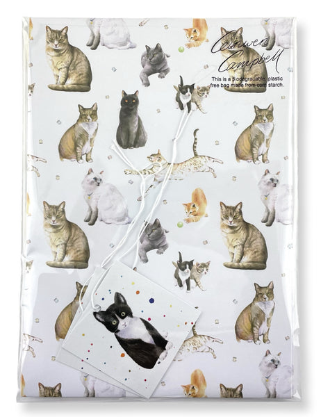 Cats and kitten quality recycled and recyclable gift wrapping paper paper by Ceinwen Campbell