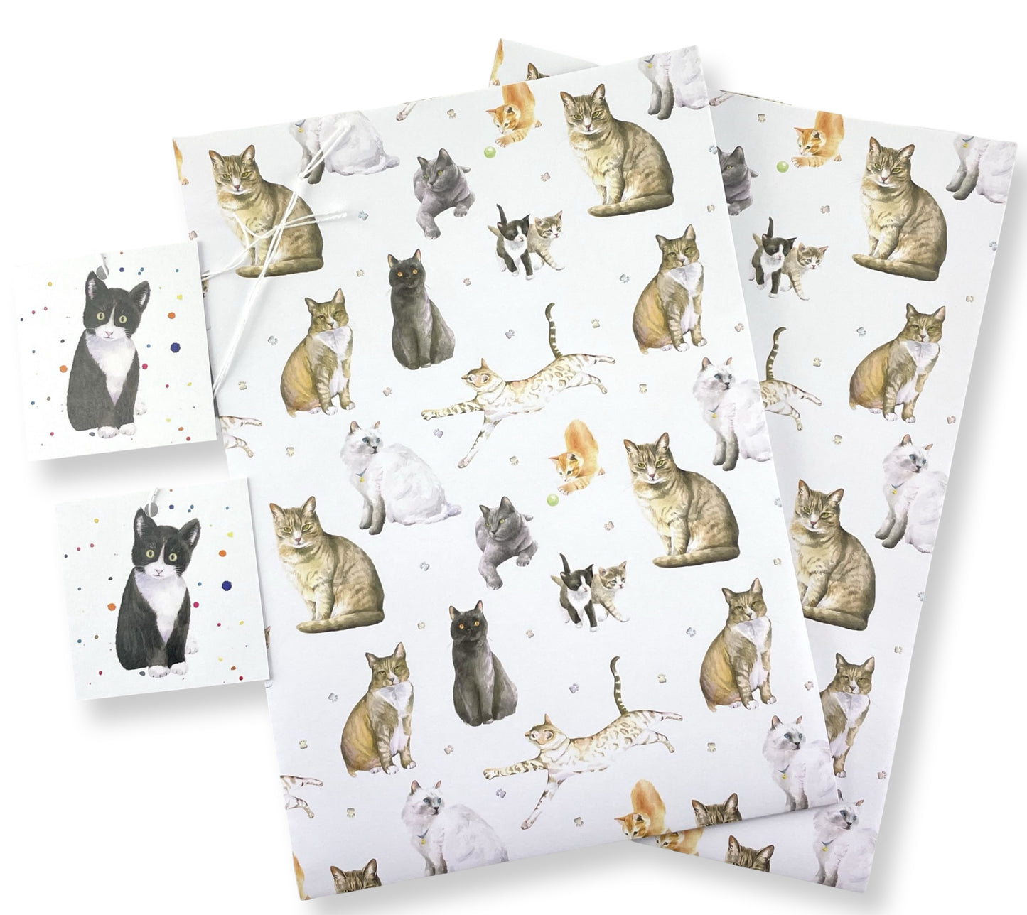 Cats and kitten quality recycled and recyclable gift wrapping paper paper by Ceinwen Campbell