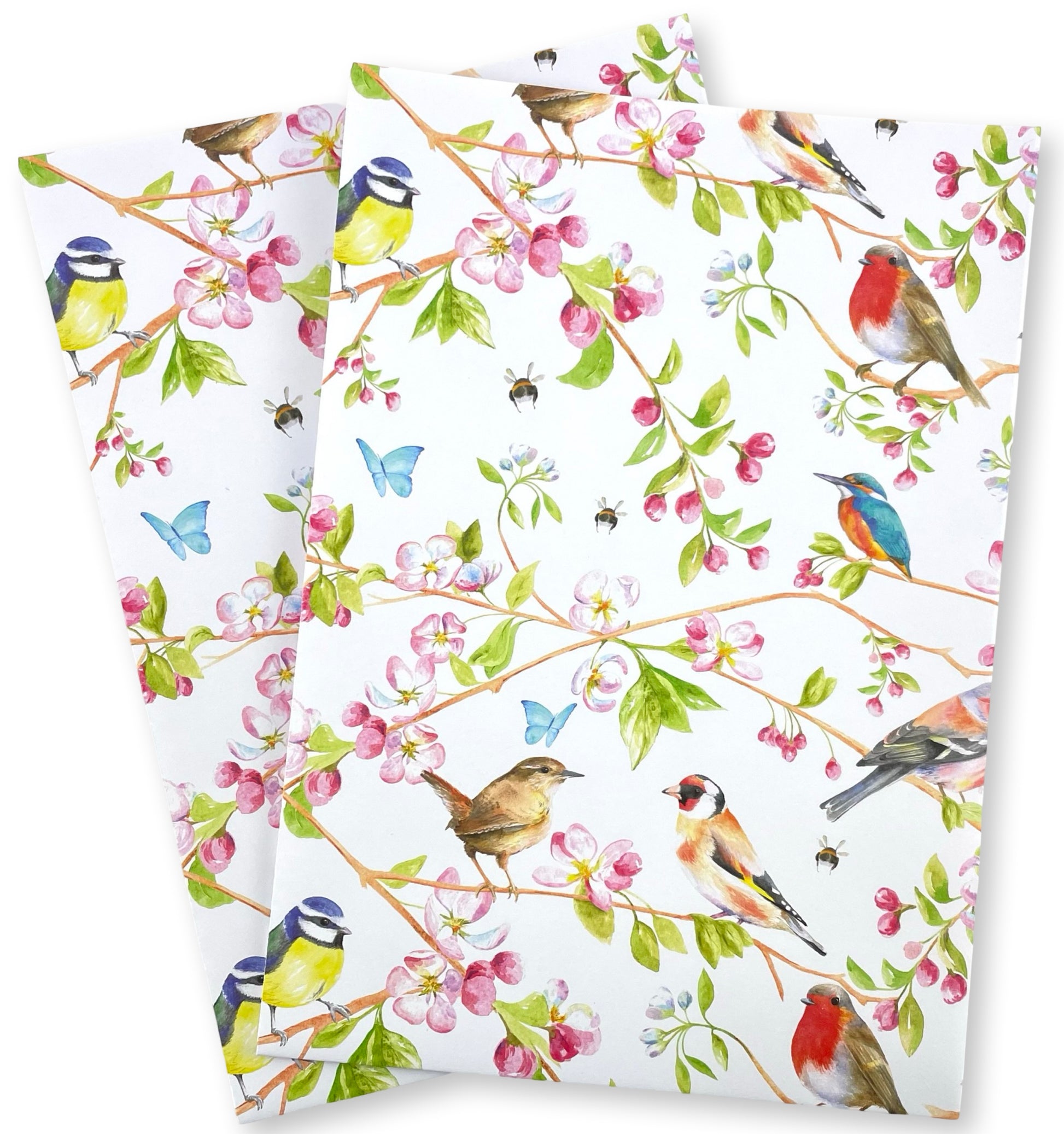 Garden birds recycled and recyclable quality gift wrapping  by Ceinwen Campbell - robin, wren , blue tit, cherry blossom