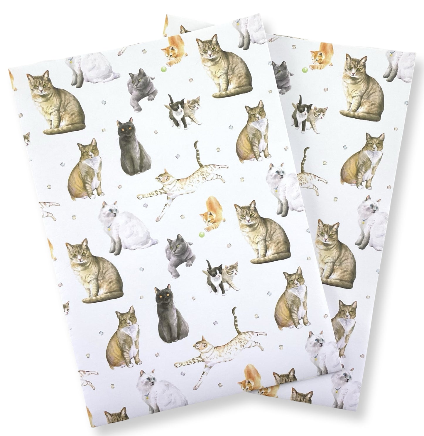 Cats and kitten quality recycled and recyclable gift wrapping paper paper by Ceinwen Campbell
