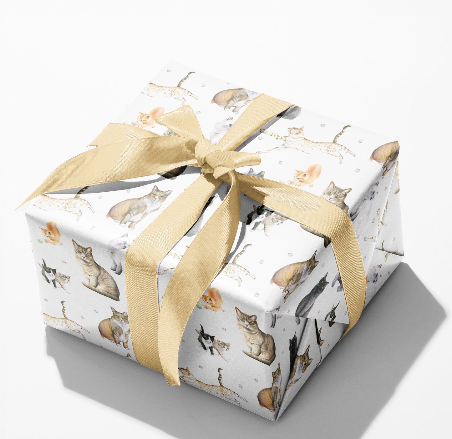Cats and kitten quality recycled and recyclable gift wrapping paper paper by Ceinwen Campbell