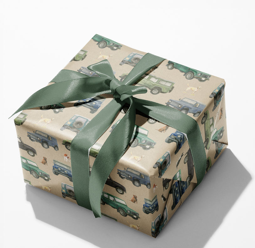 Defender recycled and recyclable gift wrapping paper by Ceinwen Campbell