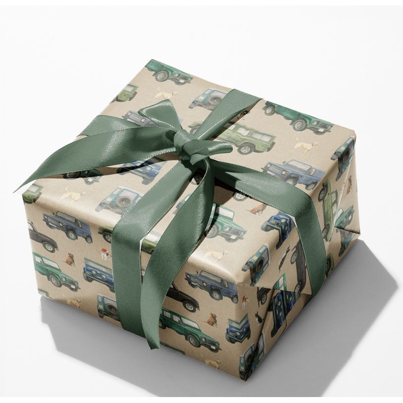 Defender recycled and recyclable gift wrapping paper by Ceinwen Campbell