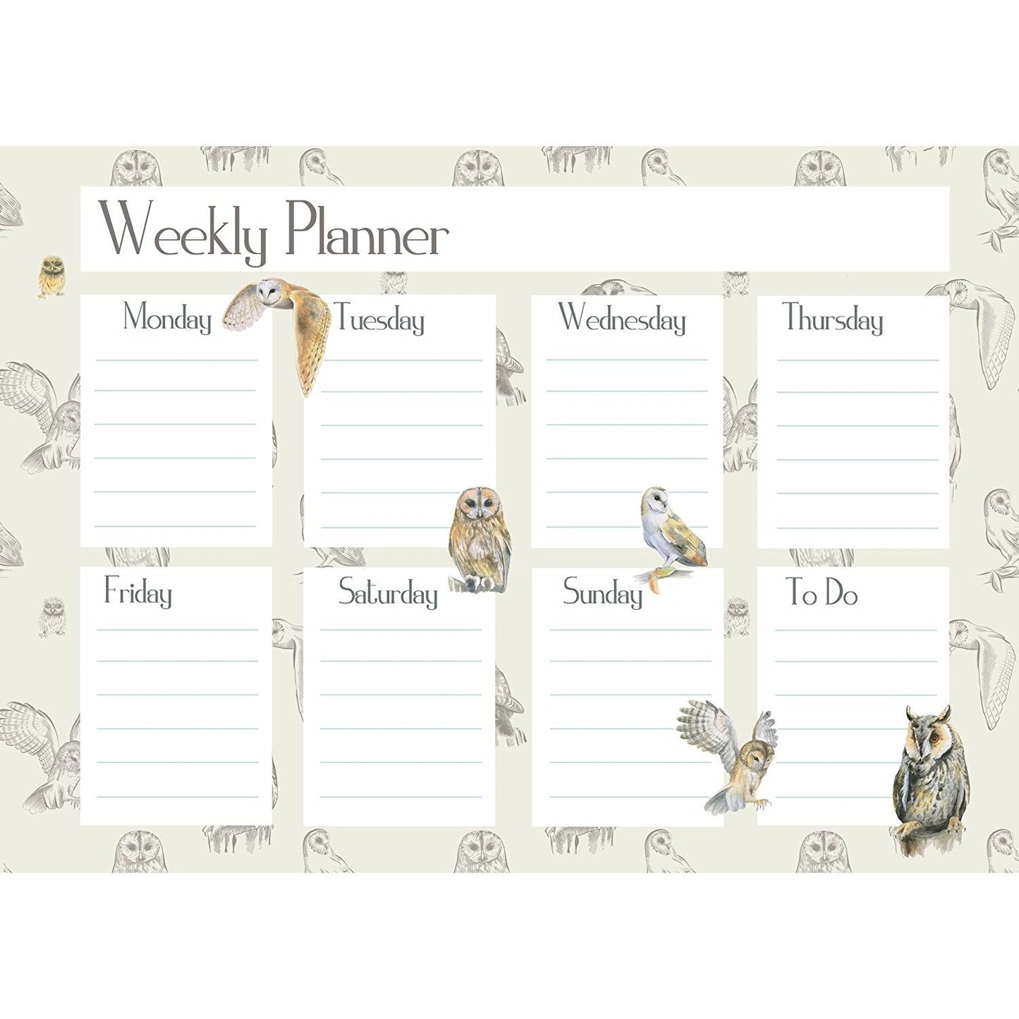 owl diary weekly planner gift present by Ceinwen Campbell and The Arty Penguin
