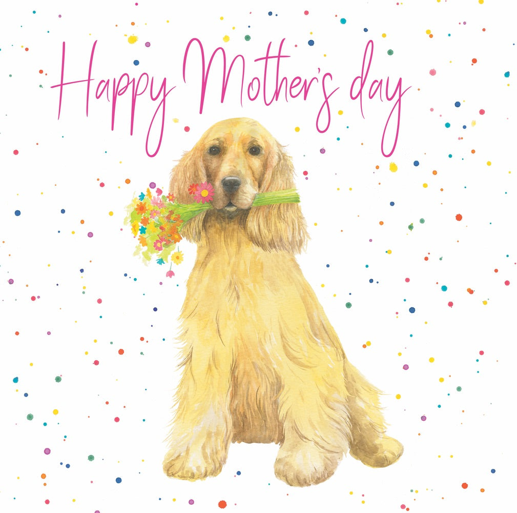 Happy Mother's Day cocker spaniel quality greetings card