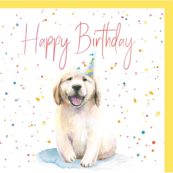 Dog Labrador Puppy Birthday Card