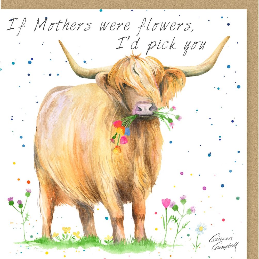 Highland Cow mothers day or birthday card by Ceinwen Campbell