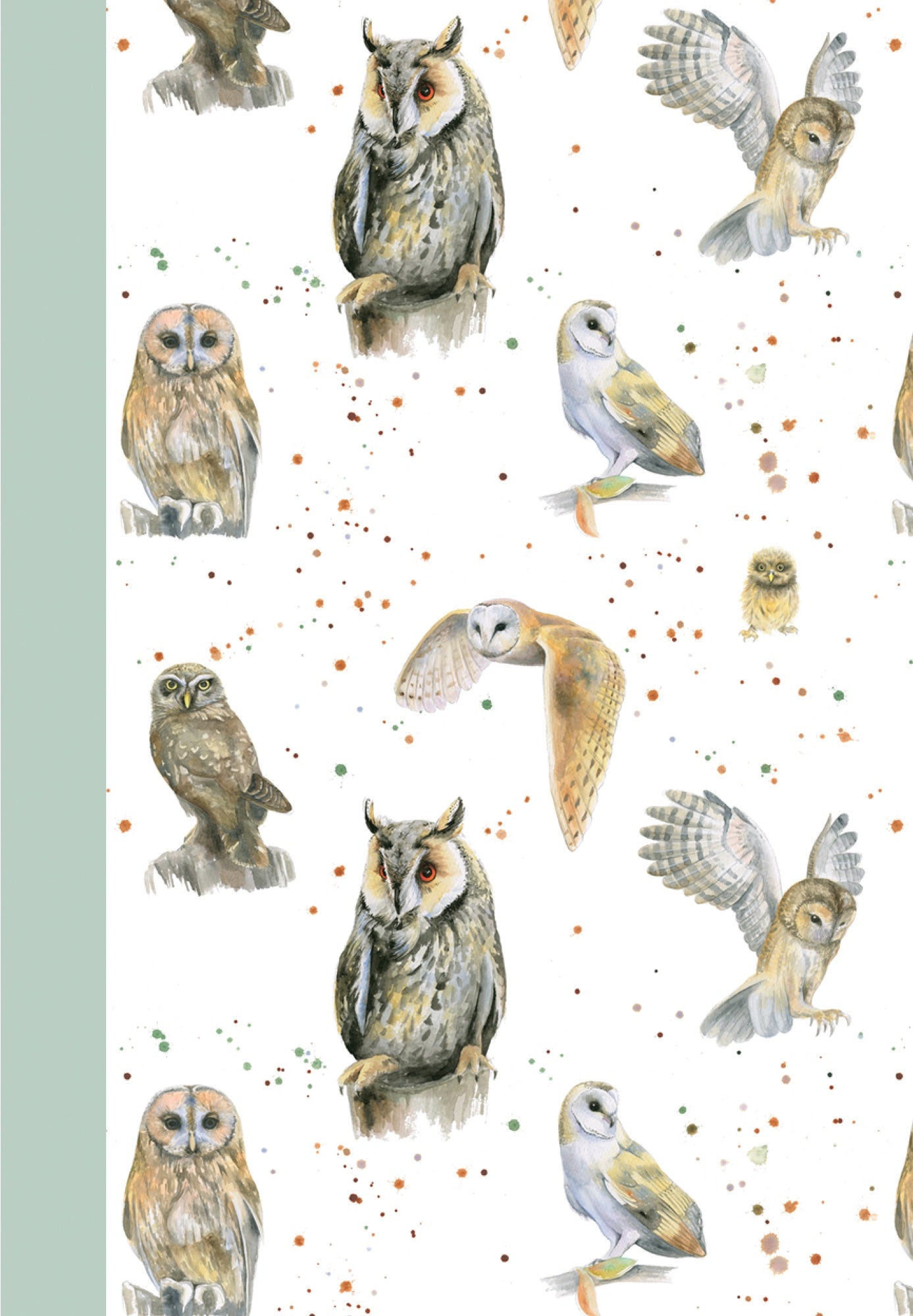 British owls jotter by Ceinwen Campbell and The Arty Penguin