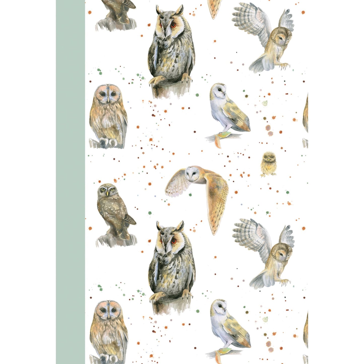 British owls jotter by Ceinwen Campbell and The Arty Penguin