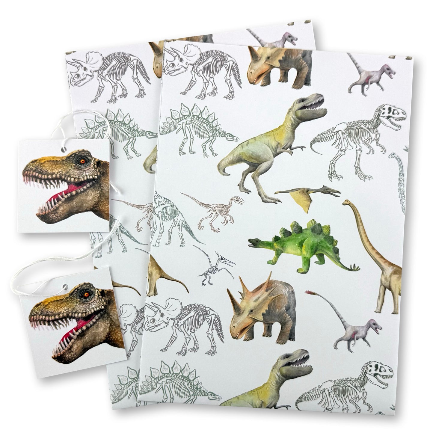 Dinosaur Wrapping Paper and tags