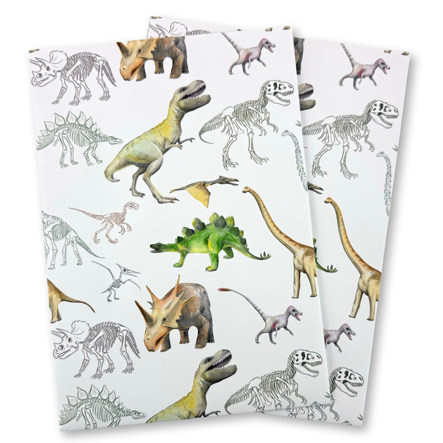 Dinosaur Wrapping Paper and tags