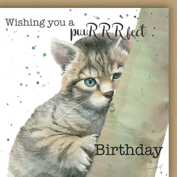 Birthday card with a wild cat kitten illustration and text 'Wishing you a purR Rfect Birthday'.