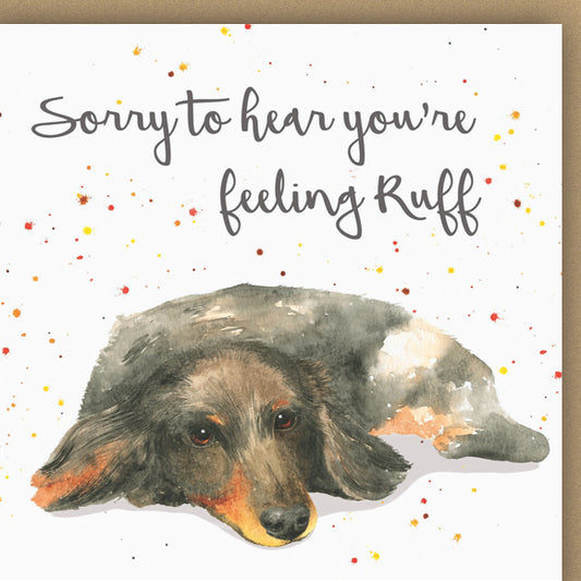 Dachshund get well soon quality blank card by Ceinwen Campbell