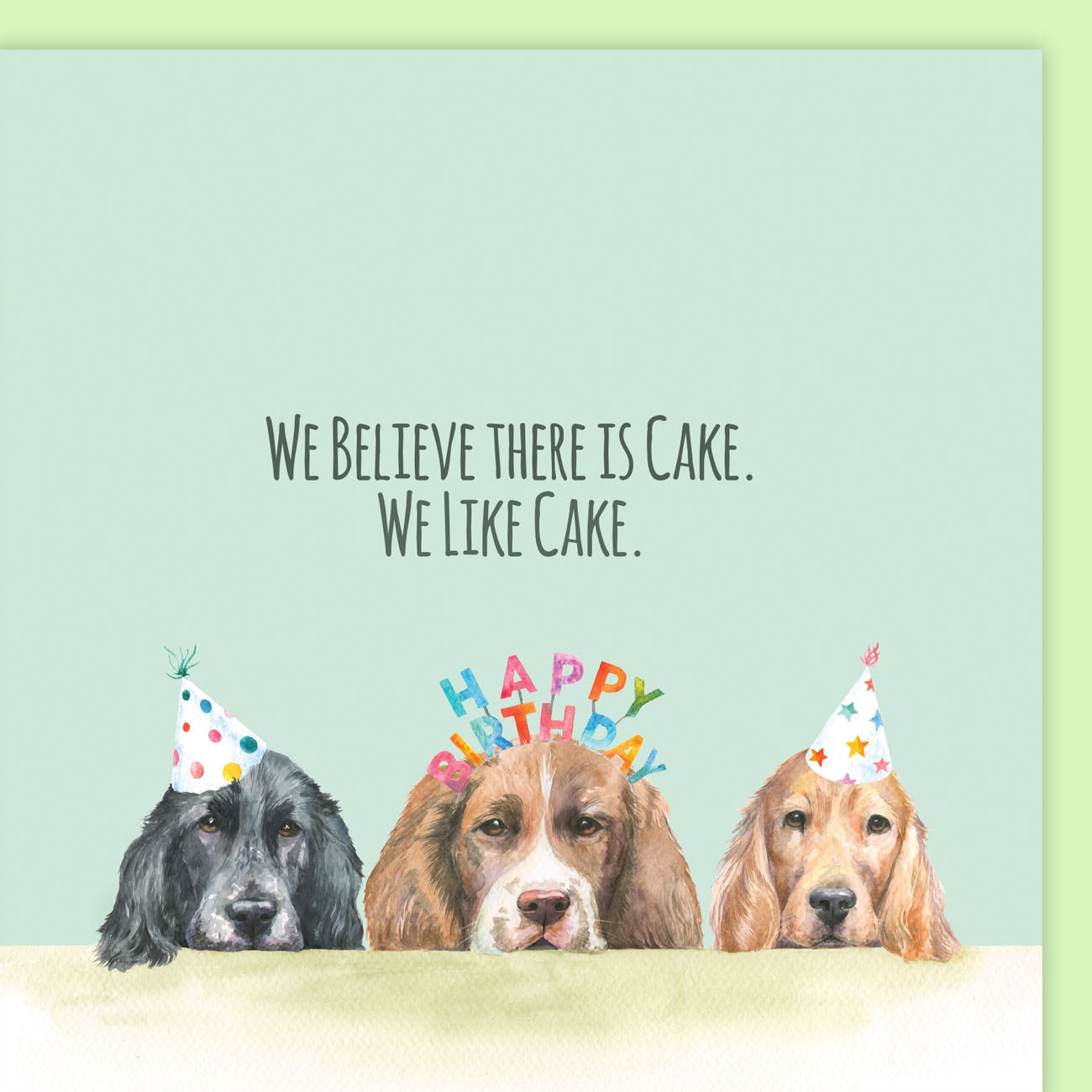 Cocker and springer spaniel fun birthday card