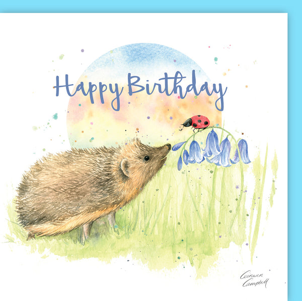 hedgehog, ladybird and bluebells quality blank birthday card by Ceinwen Campbell 