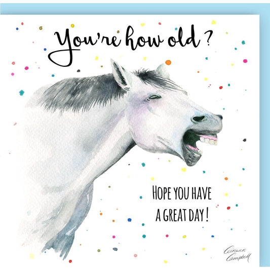 Horse - You’re How Old ?!