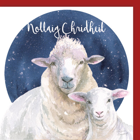Sheep Nollaig Chridheil Card Merry christmas from Scotland by Ceinwen Campbell 