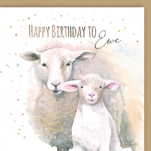 Country sheep and lamb quality birthday card by Ceinwen Campbell 