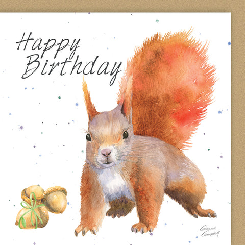 Red Squirrel and Acorns Birthday Card