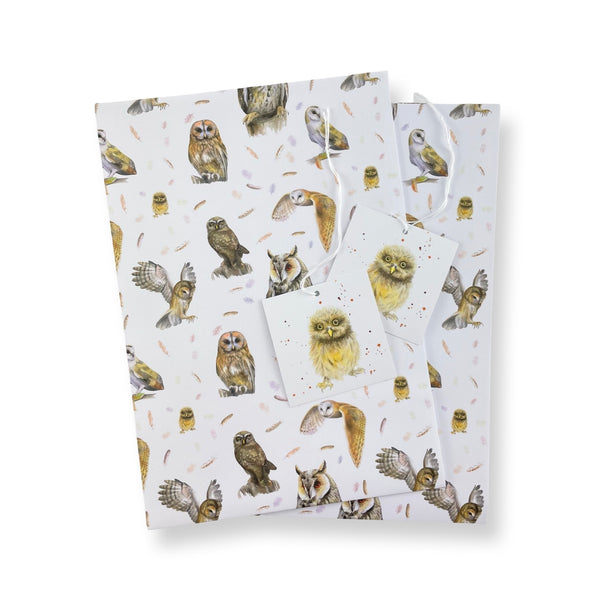 Recycled and recyclable owl gift wrapping by Ceinwen Campbell 