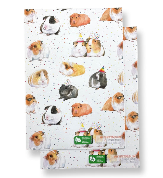 Guinea Pig recycled and recyclable gift wrap great for birthdays, Christmas and crafting by Ceinwen Campbell