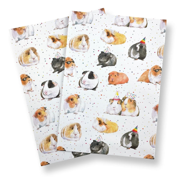 Guinea Pig recycled and recyclable gift wrap great for birthdays, Christmas and crafting by Ceinwen Campbell