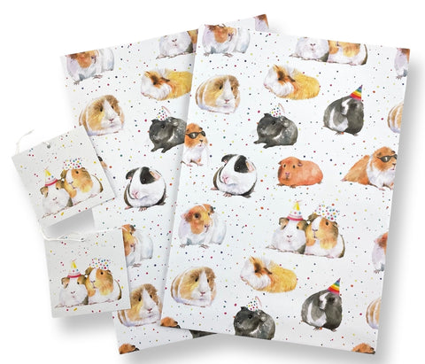 Guinea Pig recycled and recyclable gift wrap great for birthdays, Christmas and crafting  by Ceinwen Campbell 