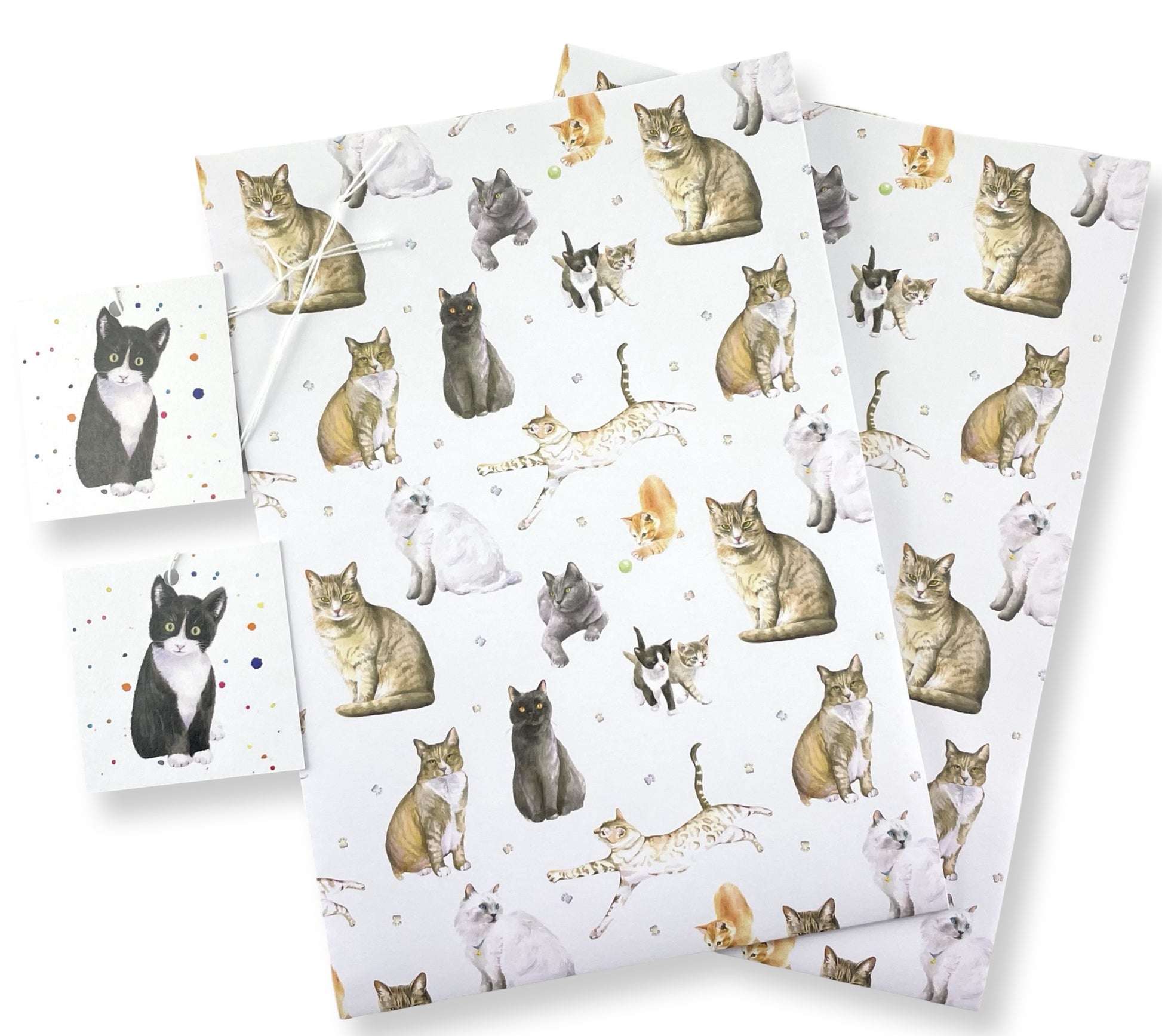 Cats and kitten quality recycled and recyclable gift wrapping paper paper by Ceinwen Campbell