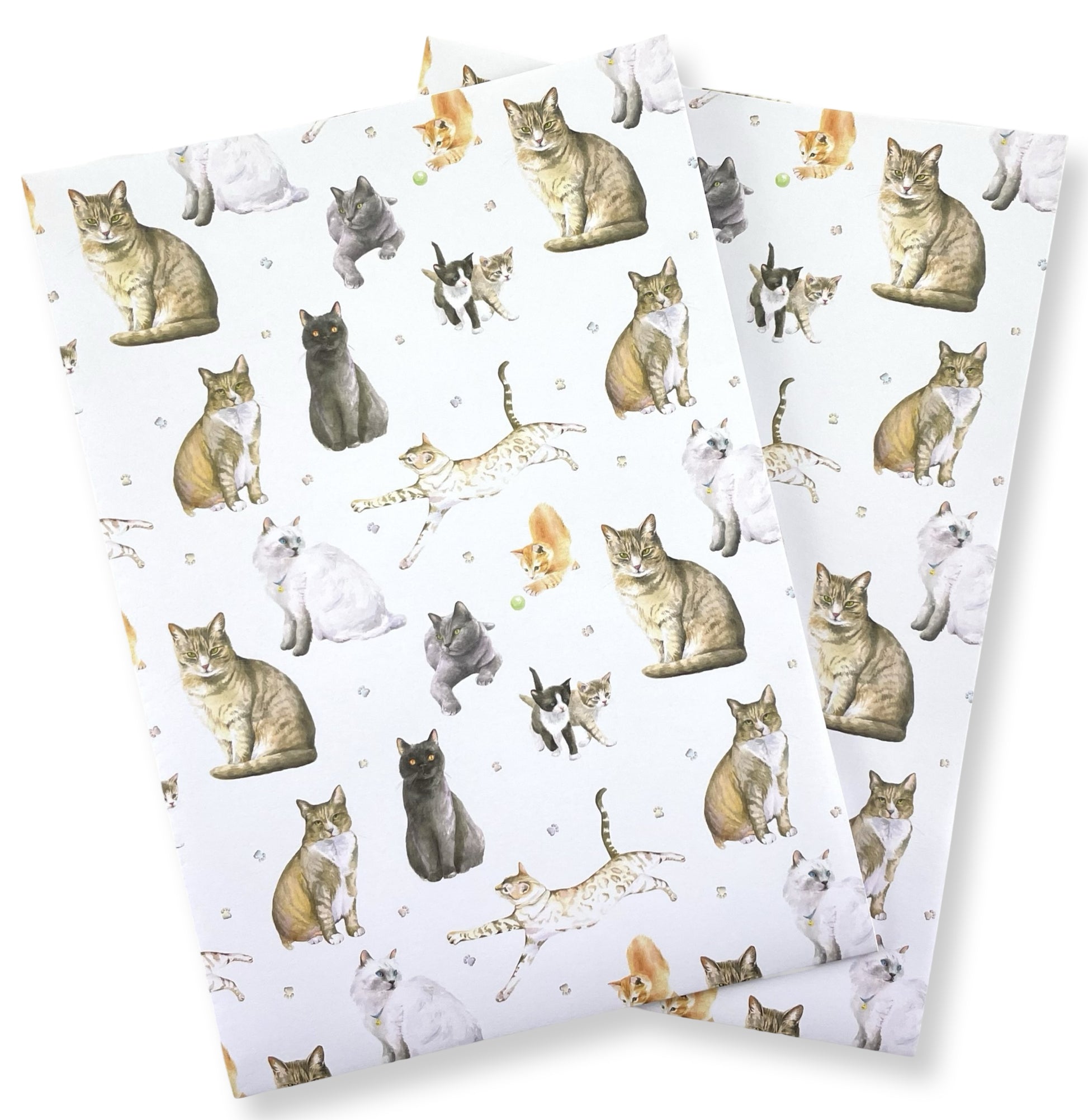 Cats and kitten quality recycled and recyclable gift wrapping paper paper by Ceinwen Campbell