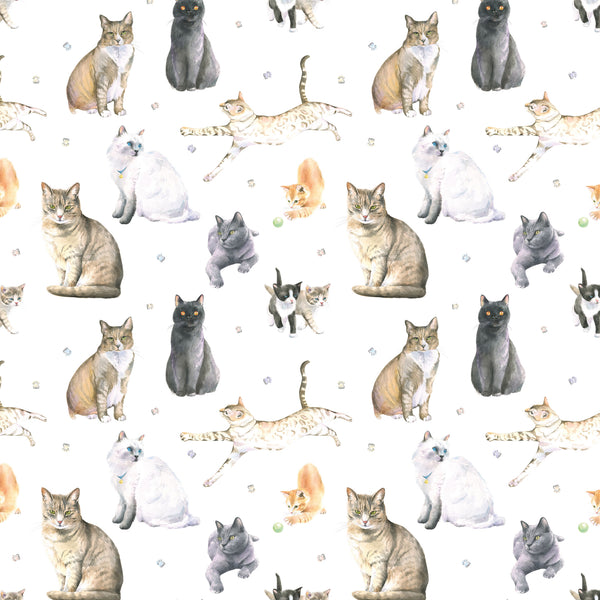 Cats and kitten quality recycled and recyclable gift wrapping paper paper by Ceinwen Campbell 