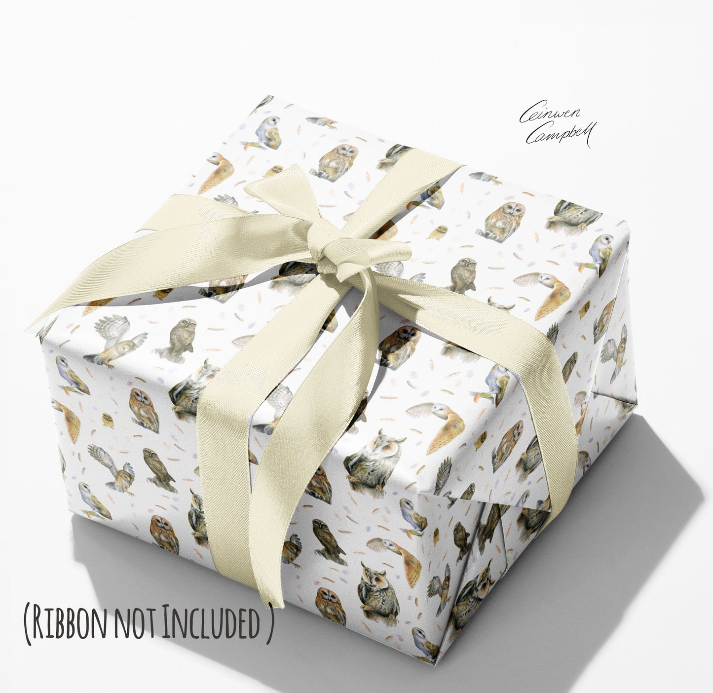 Recycled and recyclable owl gift wrapping by Ceinwen Campbell 