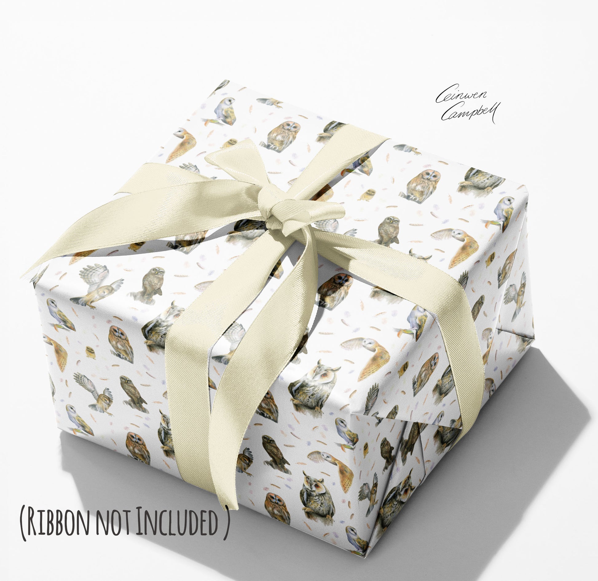 Recycled and recyclable owl gift wrapping by Ceinwen Campbell 