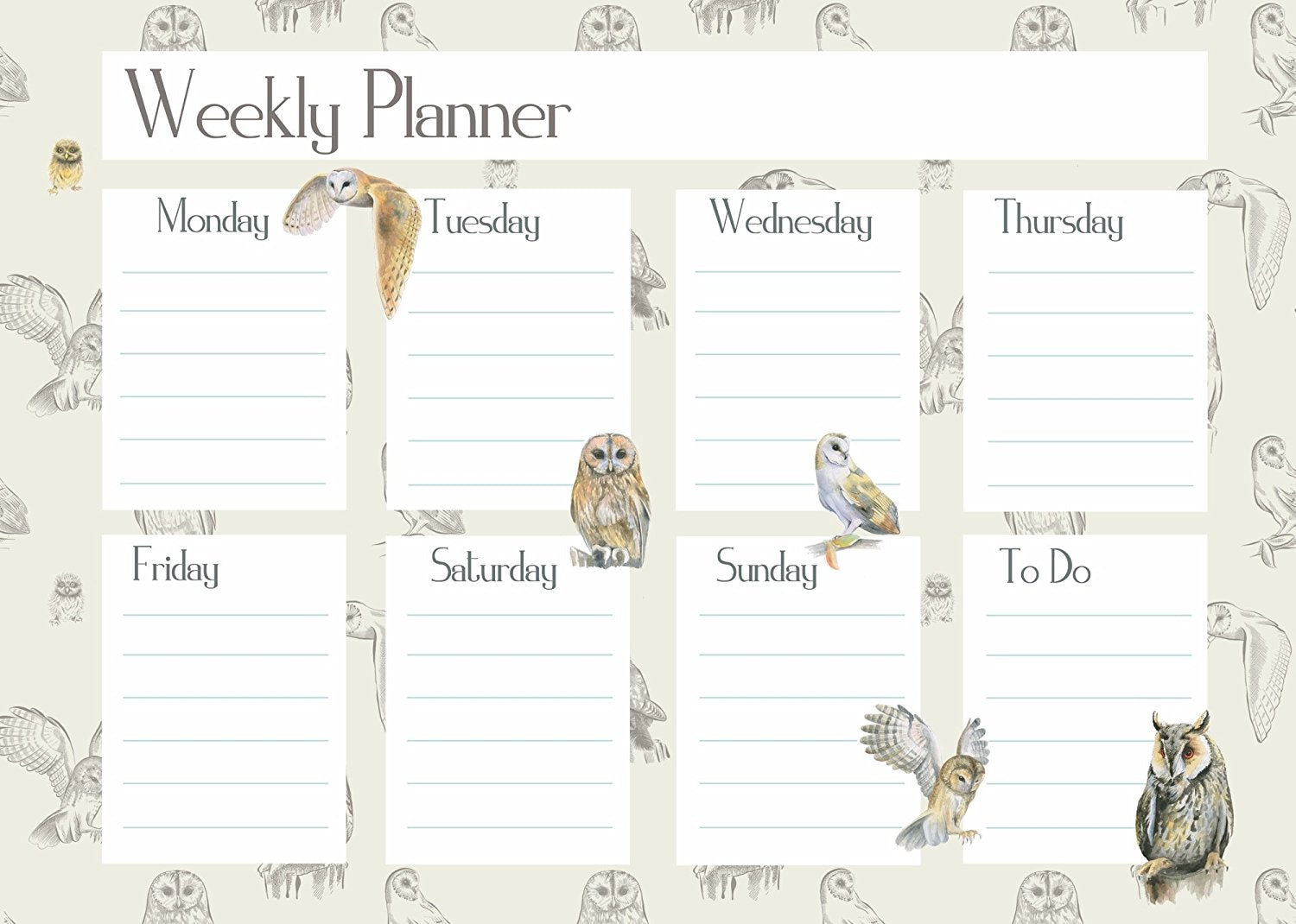 owl diary weekly planner gift present by Ceinwen Campbell and The Arty Penguin 