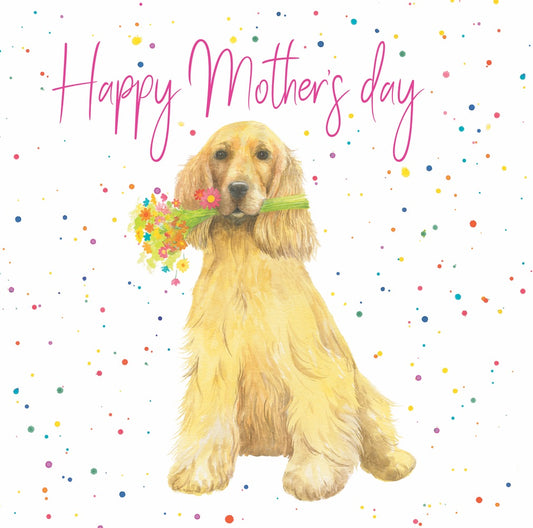 Happy Mother's Day cocker spaniel quality greetings card
