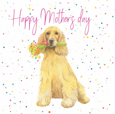 Happy Mother's Day cocker spaniel quality greetings card