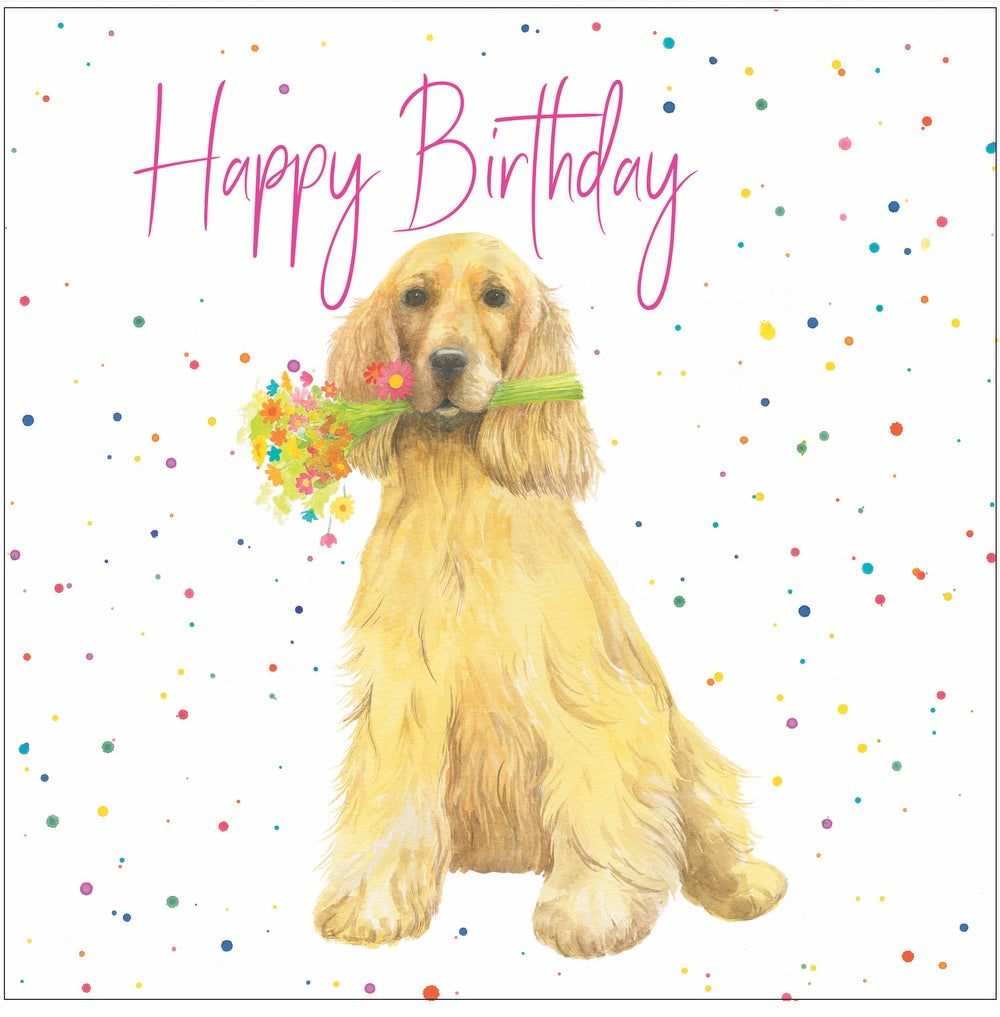 Cocker spaniel dog with flowers in mouth birthday card by Ceinwen Campbell 