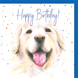 Golden Labrador retriever dog birthday card by Ceinwen Campbell 