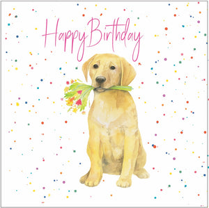 Labrador birthday card with bunch of flowers in mouth by Ceinwen Campbell