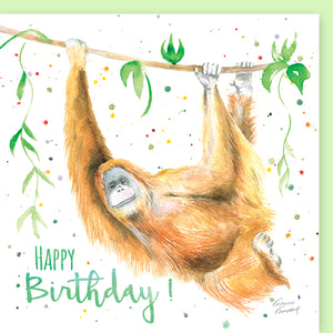 Orangutan Happy Birthday Blank Quality Greetings Card