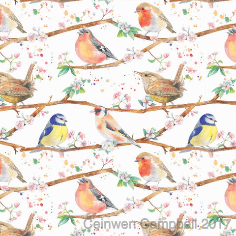 Garden birds robin blue tit wren chaffinch cherry blossom gift wrapping paper and tags by Ceinwen Campbell at  The Arty Penguin 
