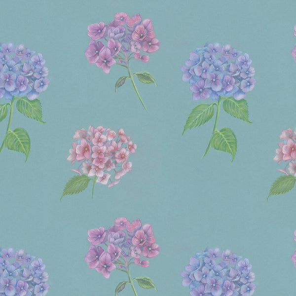 Hydrangeas in  pastel gift wrapping paper by Ceinwen Campbell  
