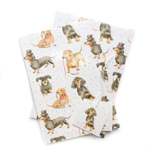 Dachshund Party Gift Wrapping Paper