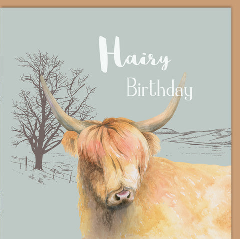 Highland Cow Birthday card Pun Ceinwen Campbell The Arty Penguin 